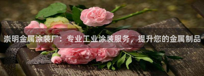 美高梅中国集团简介