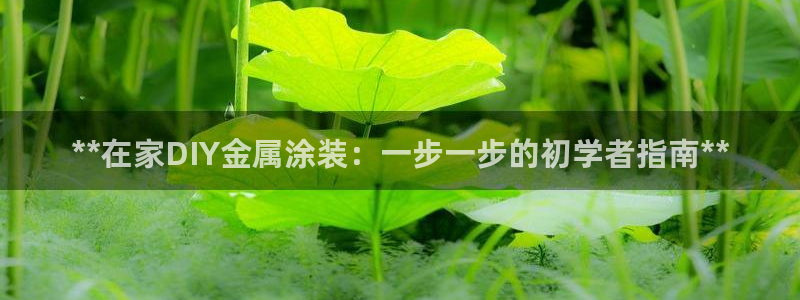 美高梅大酒店招聘