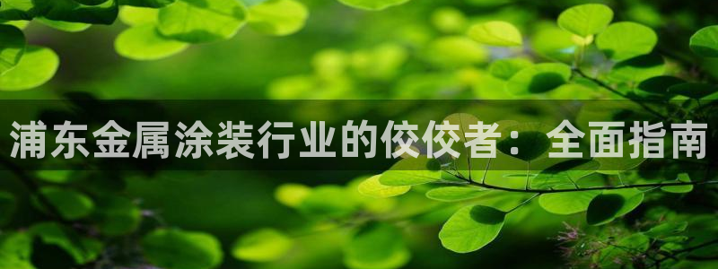 美高梅酒店在三亚哪个区