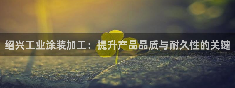 美高梅何超琼年薪