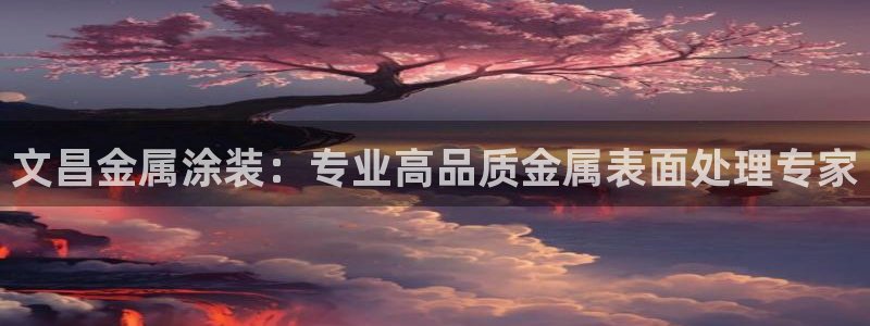 美高梅空中海洋秀