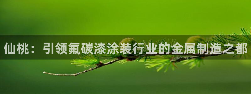 美高梅几星级酒店?