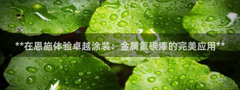 美高梅酒店外观图片