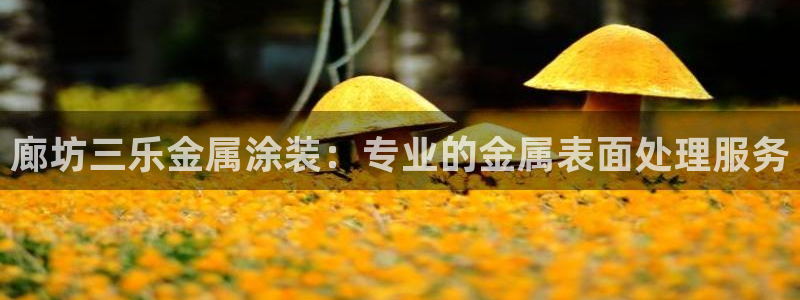 美高梅发财车时间