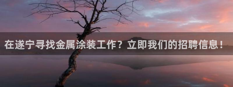 美高梅的狮子值多少钱