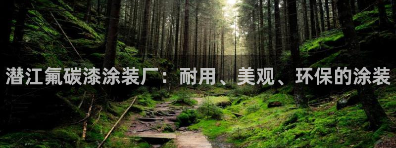 美高梅会员卡升级