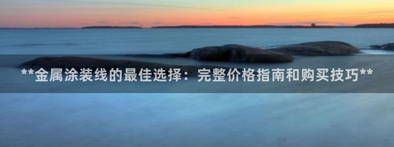 美高梅冯小峰简介