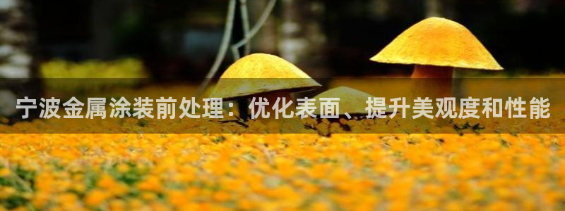 美高梅提现提不出来