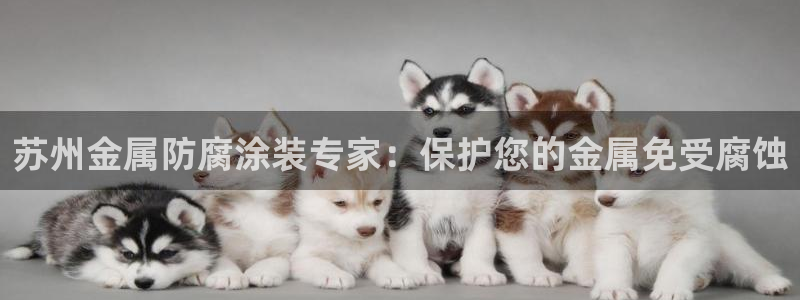 美高梅属于哪个公司