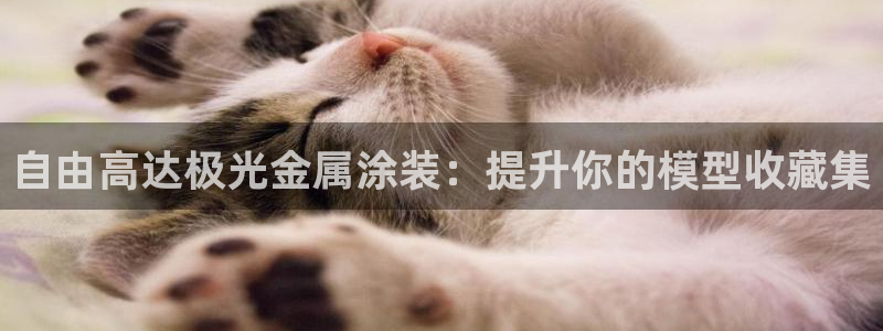 美狮美高梅酒店美艺客房