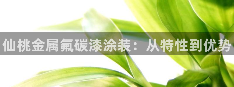 美狮美高梅酒店面对面