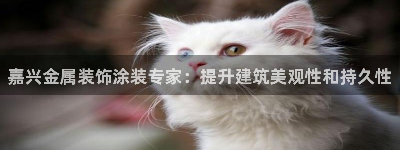 美高梅是何超琼创立的吗