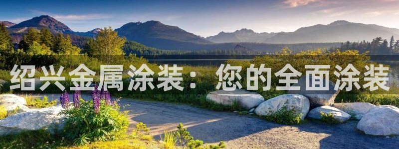 美高梅酒店免费的什么茶