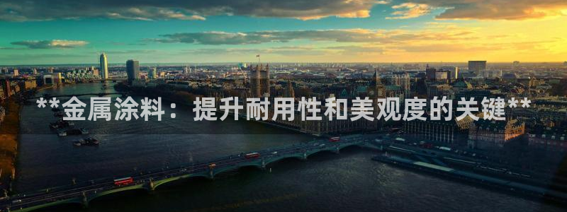 美高梅冯小峰简介
