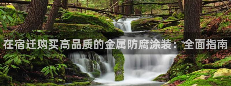 美高梅狮王卡是什么
