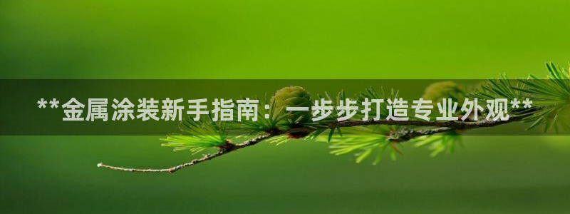 美高梅的狮子值多少钱