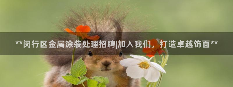 美狮美高梅酒店一共多少层楼