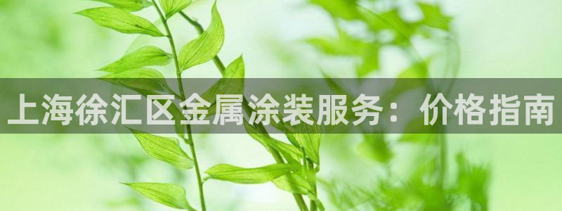 美高梅金狮卡是什么卡
