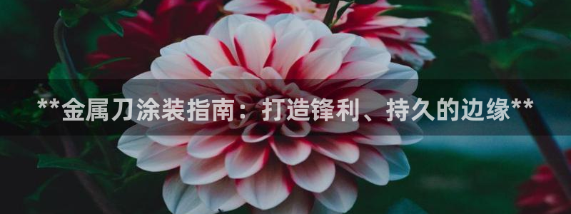 美高梅客服联系方法