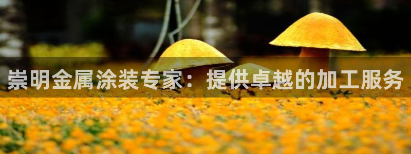 美高梅会员卡有什么用