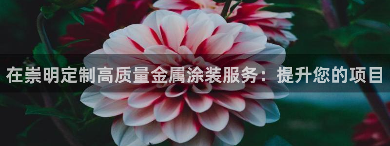 美高梅儿童乐园