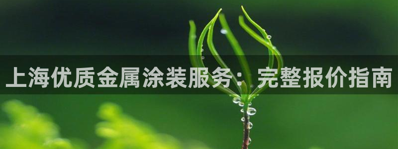 美高梅中国是什么公司