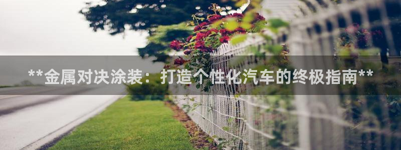 美高梅会员卡颜色区别