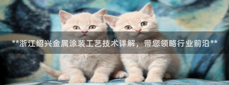 美高梅空中海洋秀是免费的吗