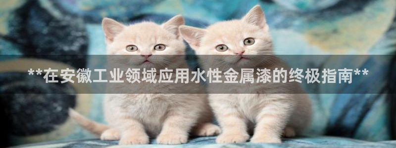 美高梅酒店wifi
