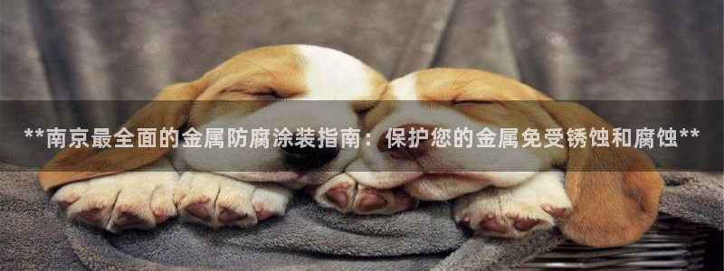 美高梅游戏苹果手机版