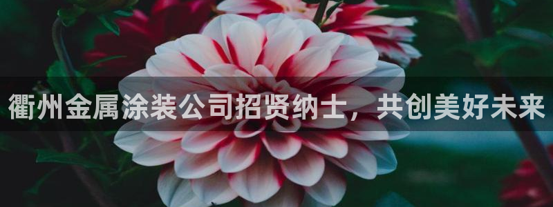 美高梅别墅是精装吗