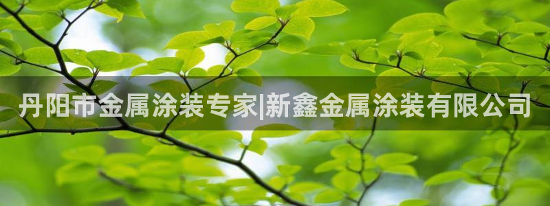 美高梅酒店官网