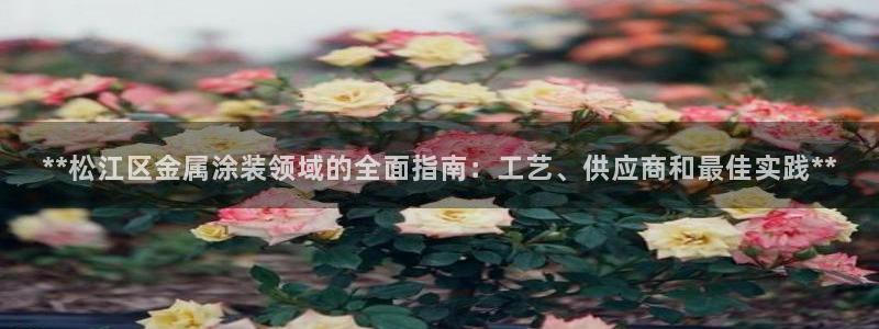 美高梅飞鱼表演时间
