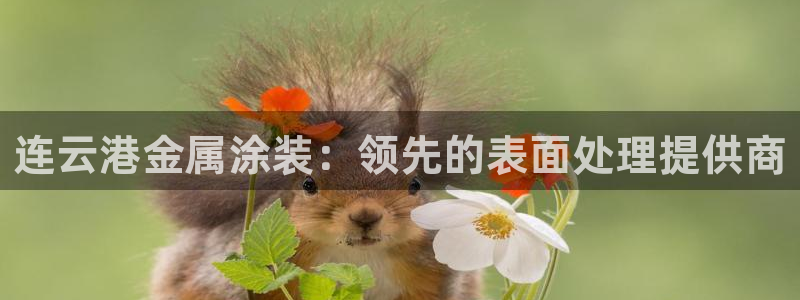 美高梅度假酒店会员卡