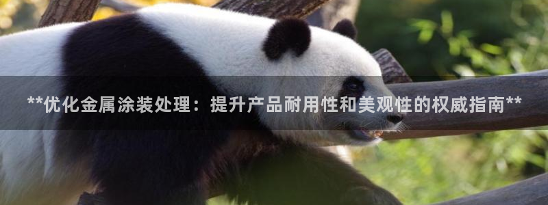 美狮美高梅酒店二楼水疗