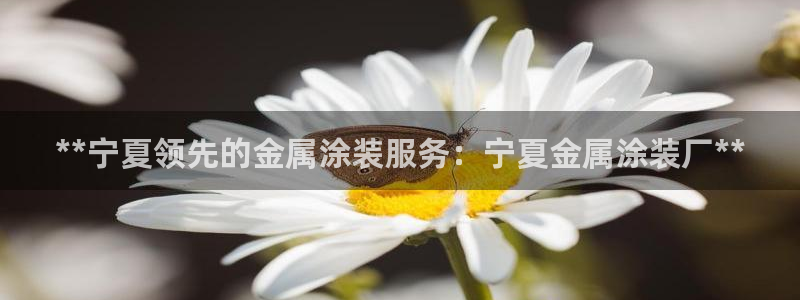 美狮美高梅酒店贵还是摩泊斯贵