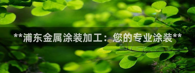 何超琼美高梅持股