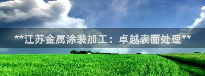 美高梅酒店拖鞋