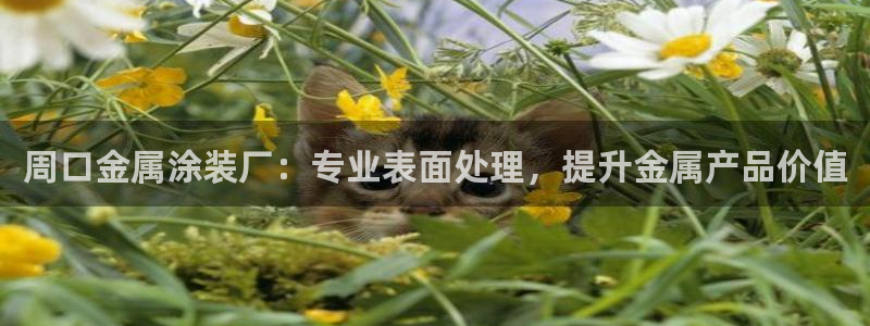 美狮美高梅酒店几点退房