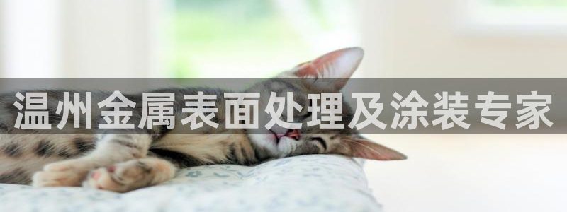 美高梅酒店武汉