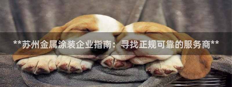美狮美高梅酒店发财车在哪里