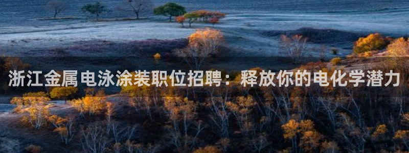 美高梅会员卡怎么积分