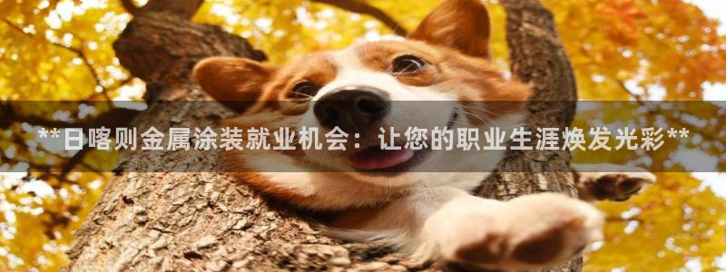 美高梅控股有限公司是国企吗