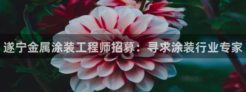 美高梅酒店如何预订