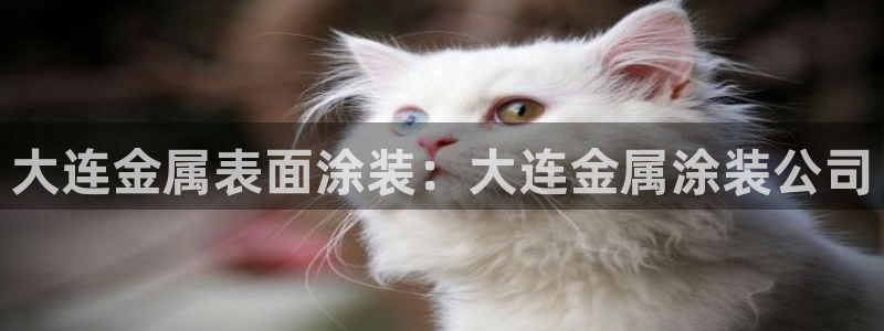 美高梅集团何超琼