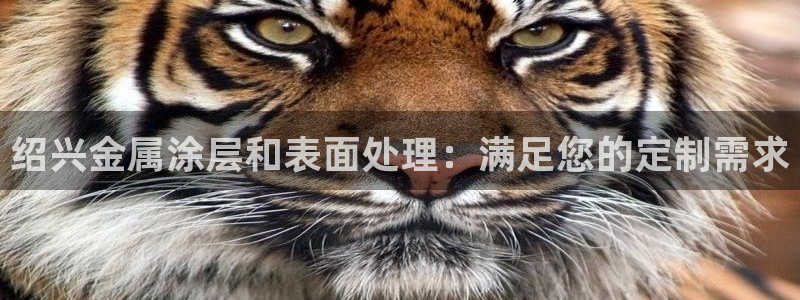 美高梅北京物业管理有限公司怎么样