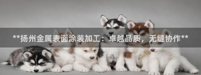 美高梅会员卡如何申请