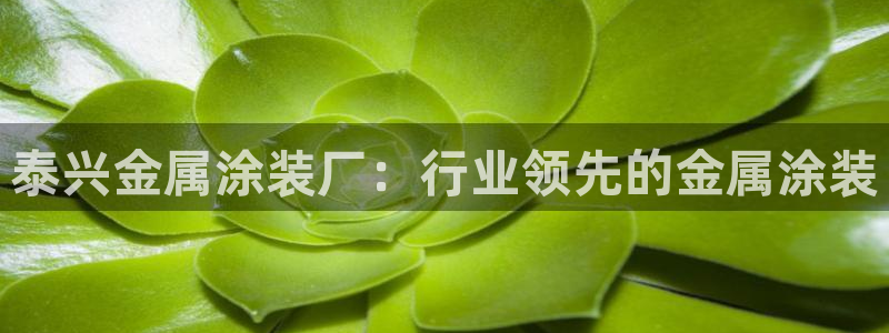 美高梅官方中文版游戏网