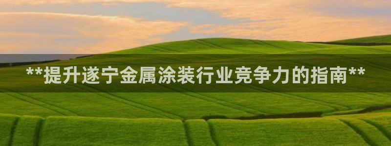 美高梅国际集团简介