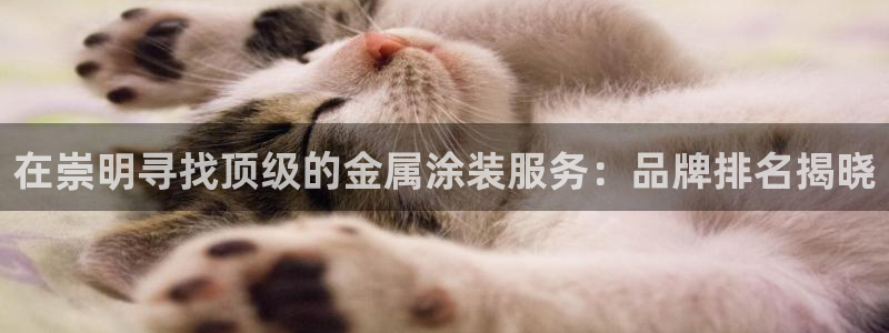 美高梅公司简介